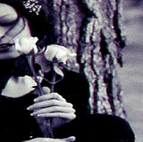 Meet your Posher, Bella Bloom. - Picture 5 of 8